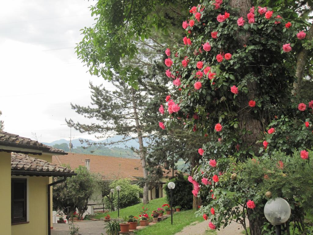 Valle Degli Ulivi Appartamento Terni Exterior foto